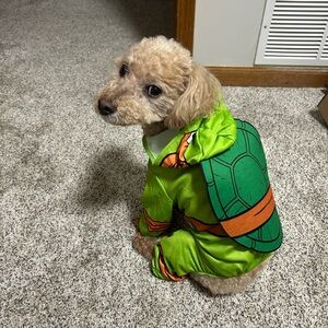 Teenage Mutant Ninja Turtles Small Dog Costume Green and Orange Costume